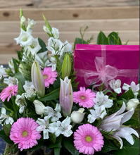 Load image into Gallery viewer, Pinky Basket + Chocolate