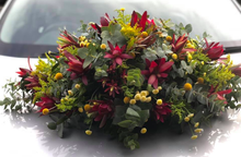 Load image into Gallery viewer, Bangaroo