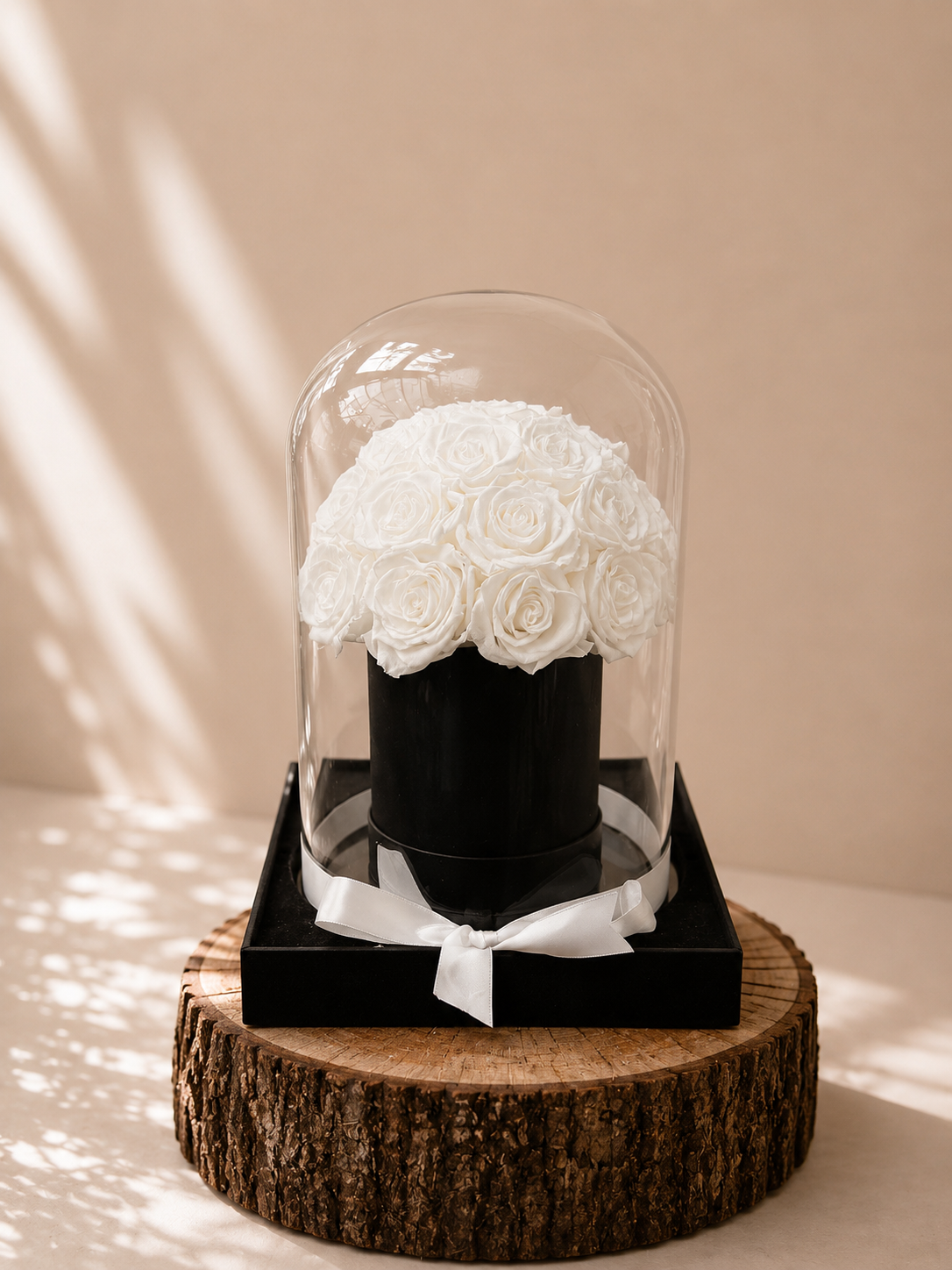 White Preserved Rose Dome