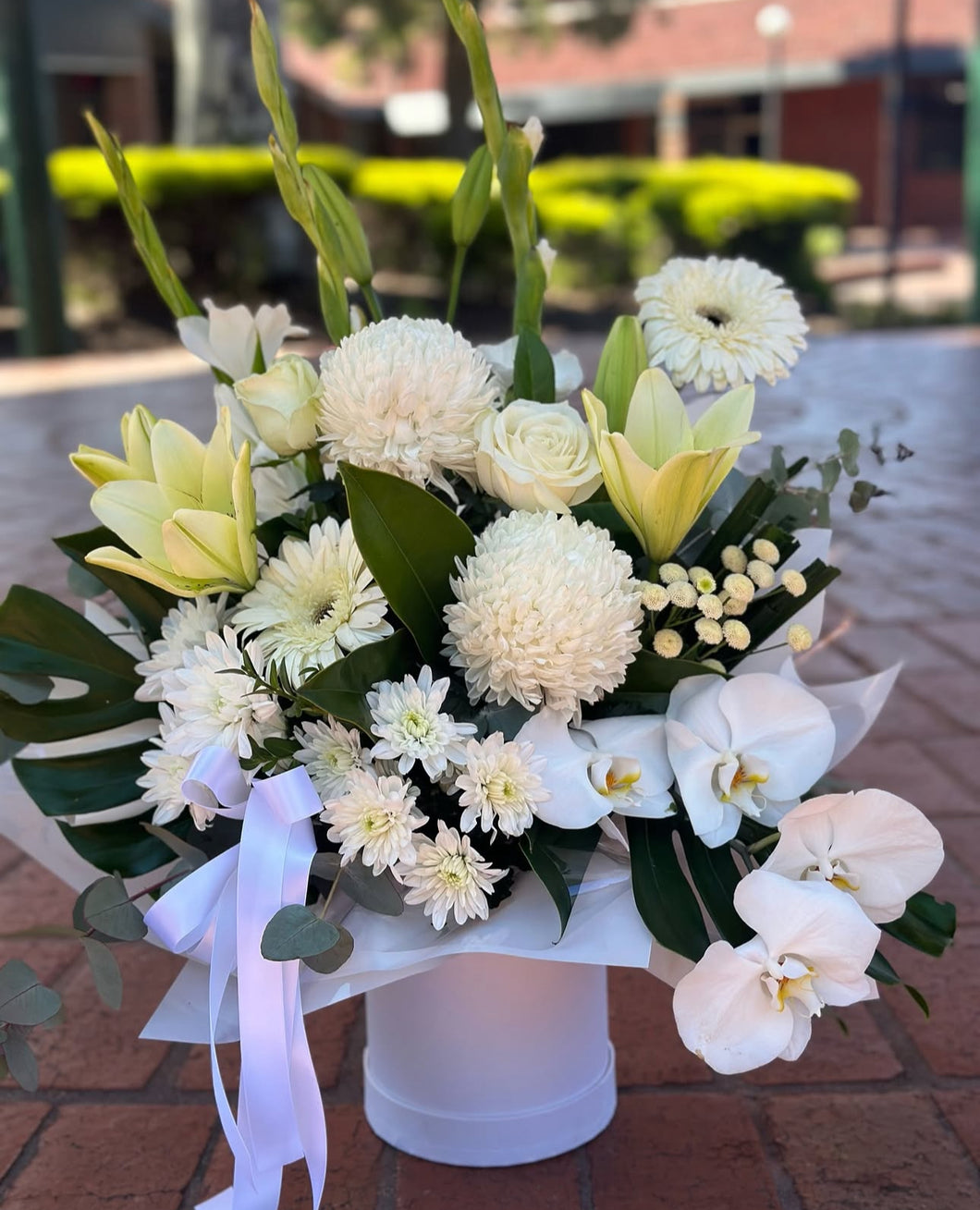 White blooms