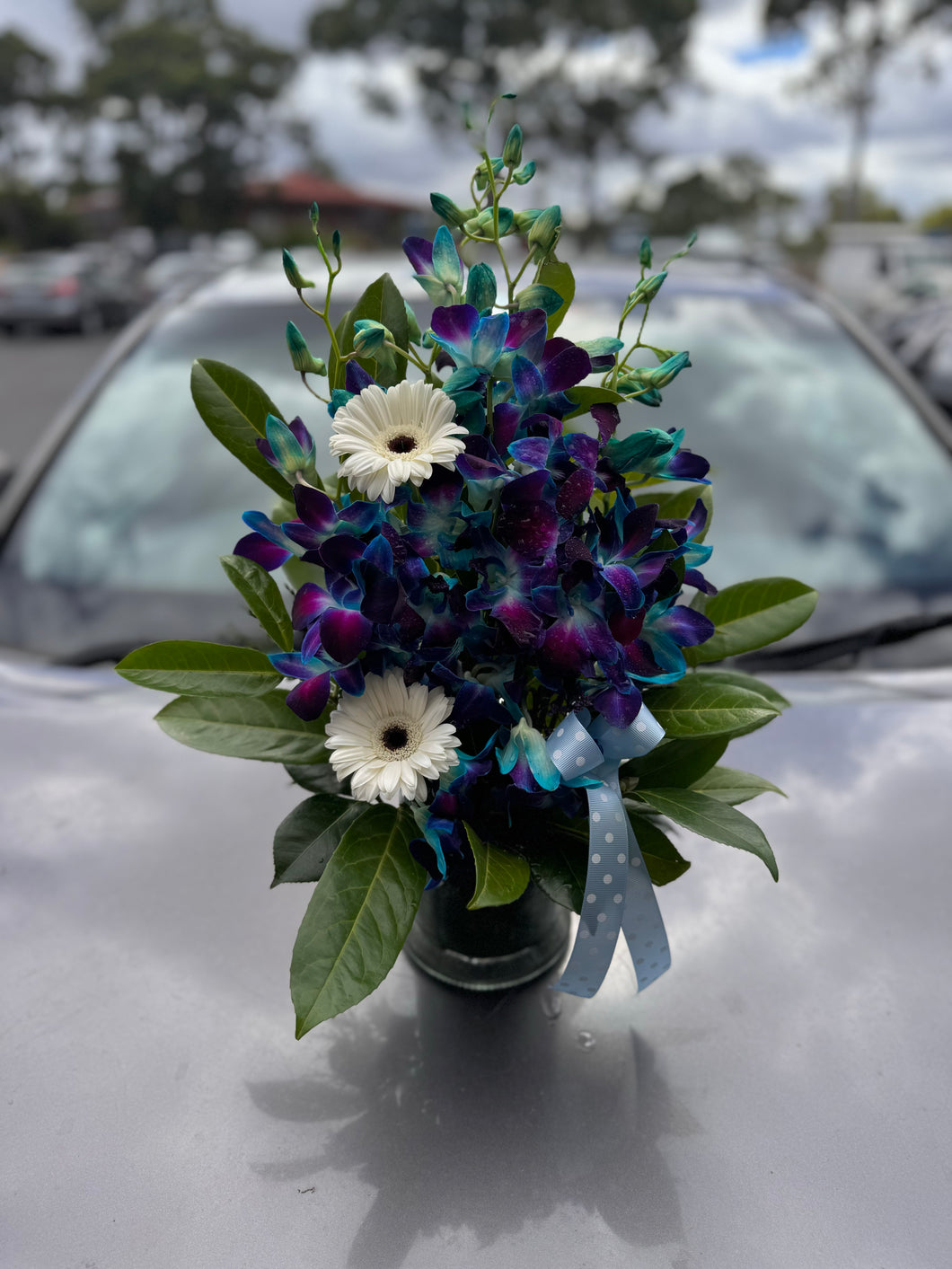 Galaxy Arrangement