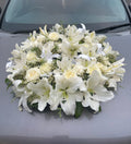 White Lilly