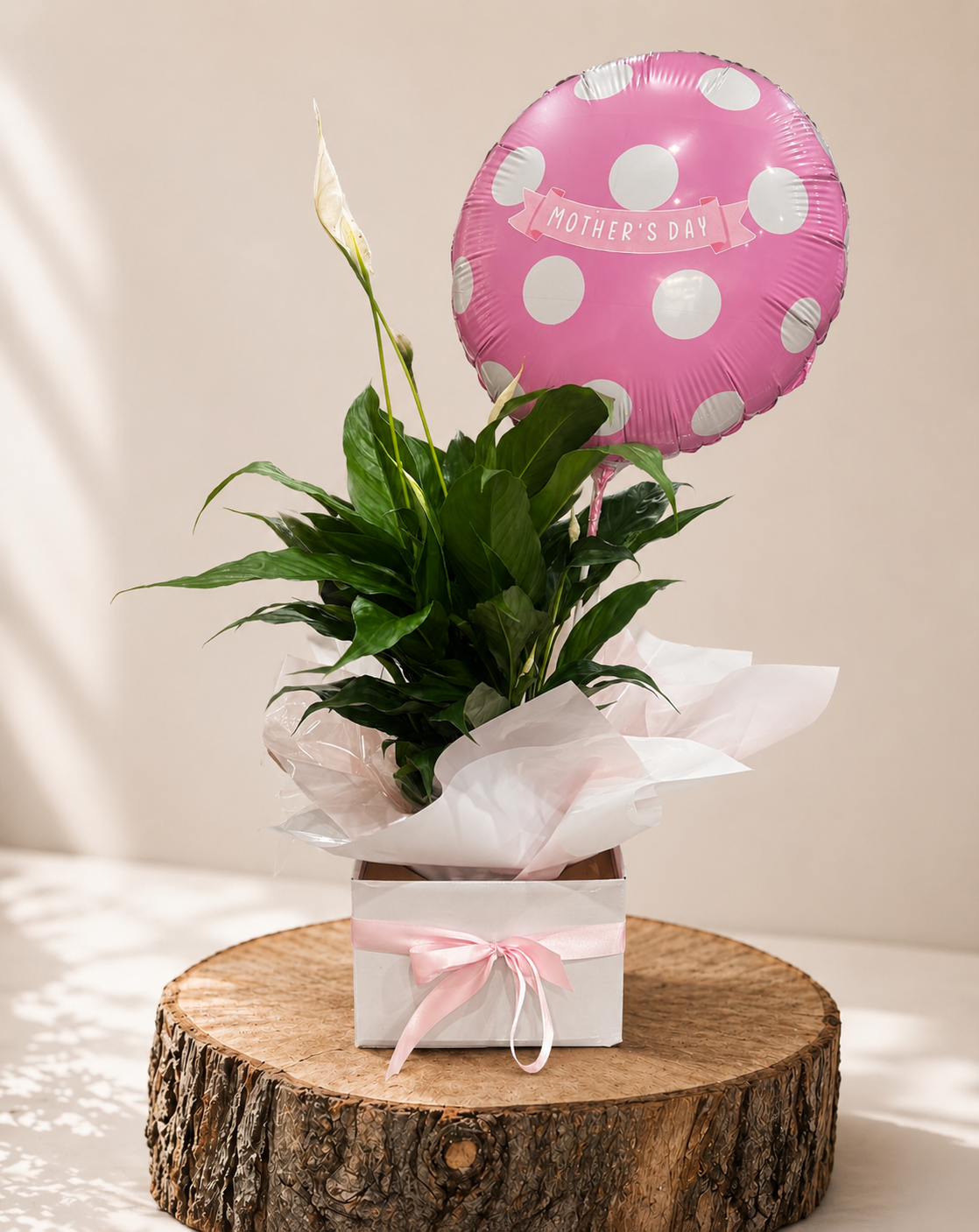 Peace Lily Plant & Mother’s Day Ballon