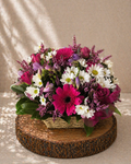 Jenny basket