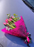 Tulips Love