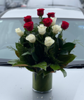Red & White rose
