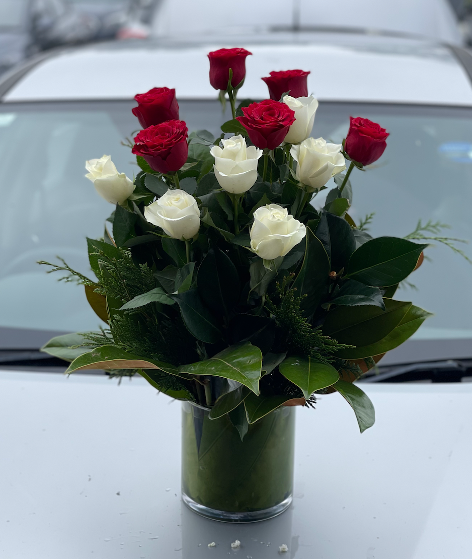 Red & White rose