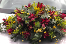 Load image into Gallery viewer, Bangaroo
