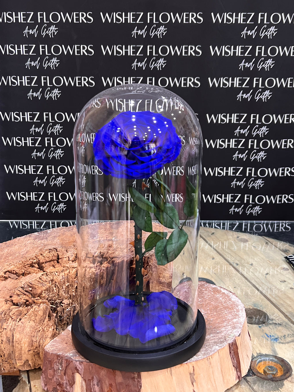 Large forever lasting rose