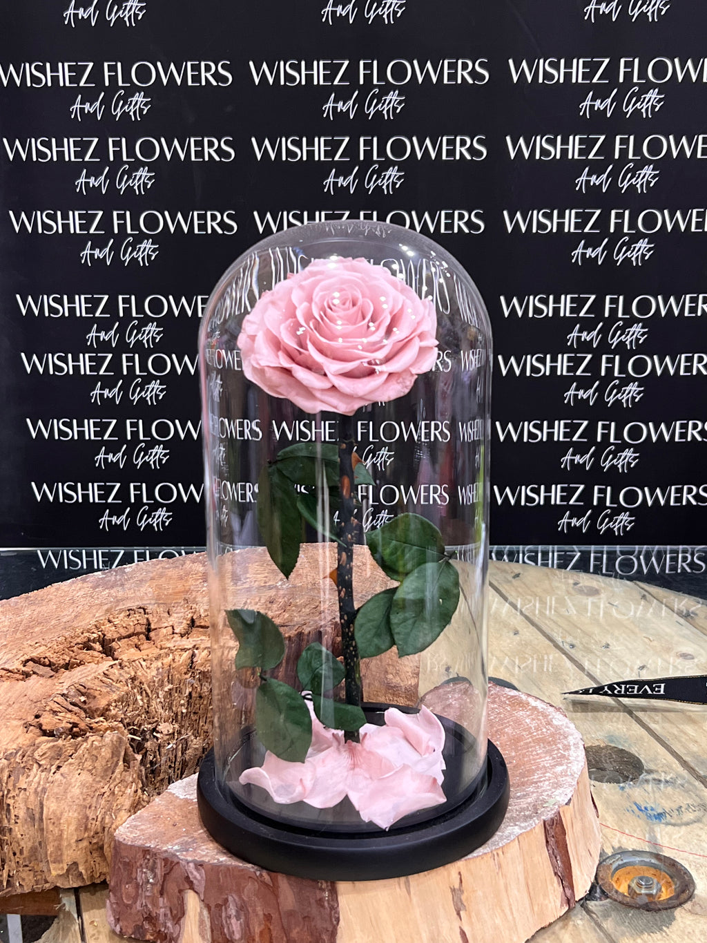 Large forever lasting rose