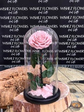 Load image into Gallery viewer, Large forever lasting rose

