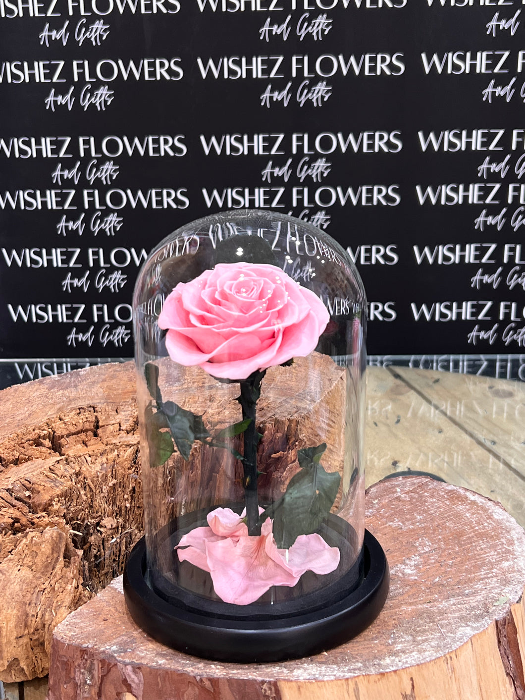 Medium Everlasting Rose Dome