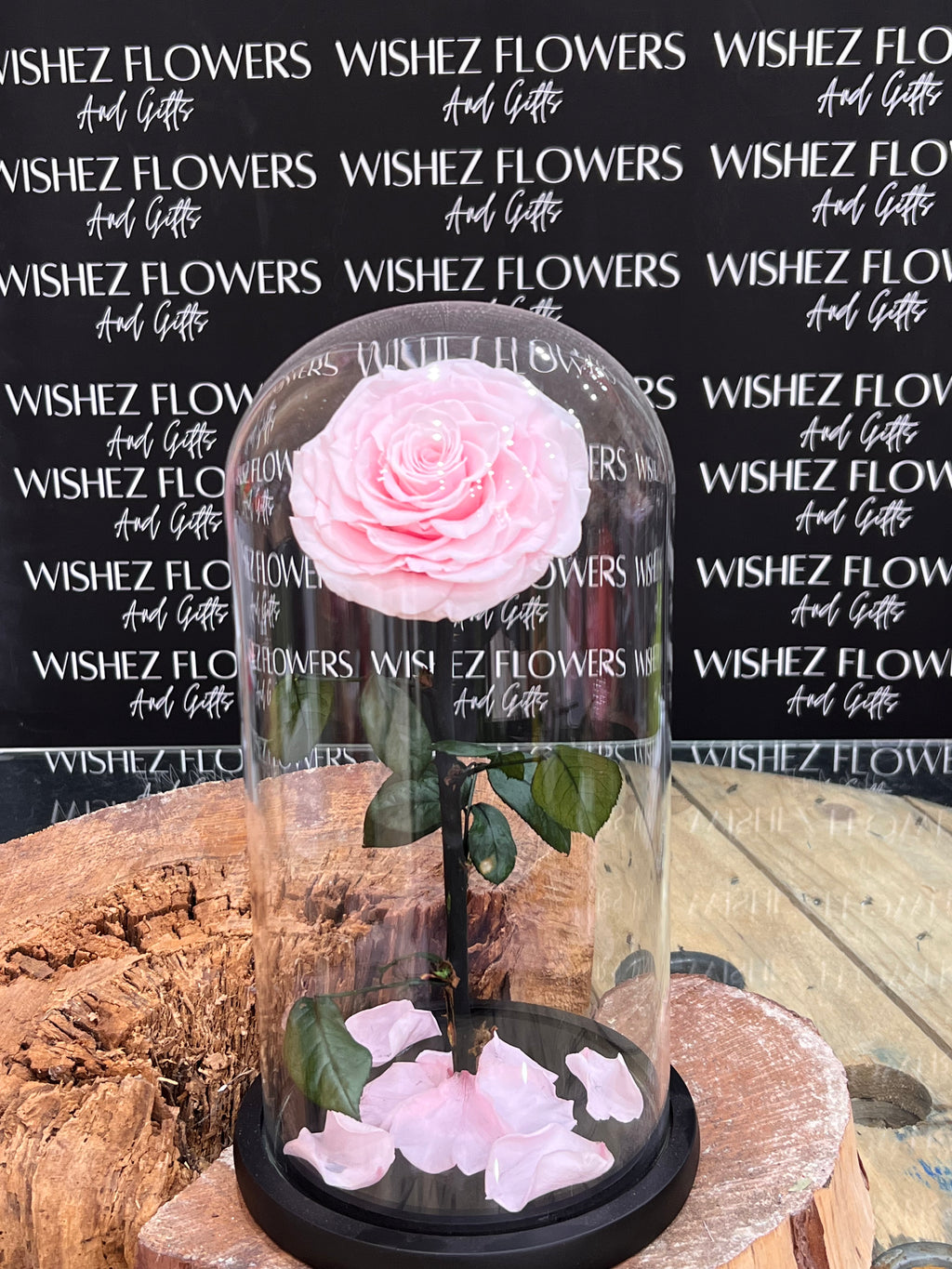 Large forever lasting rose