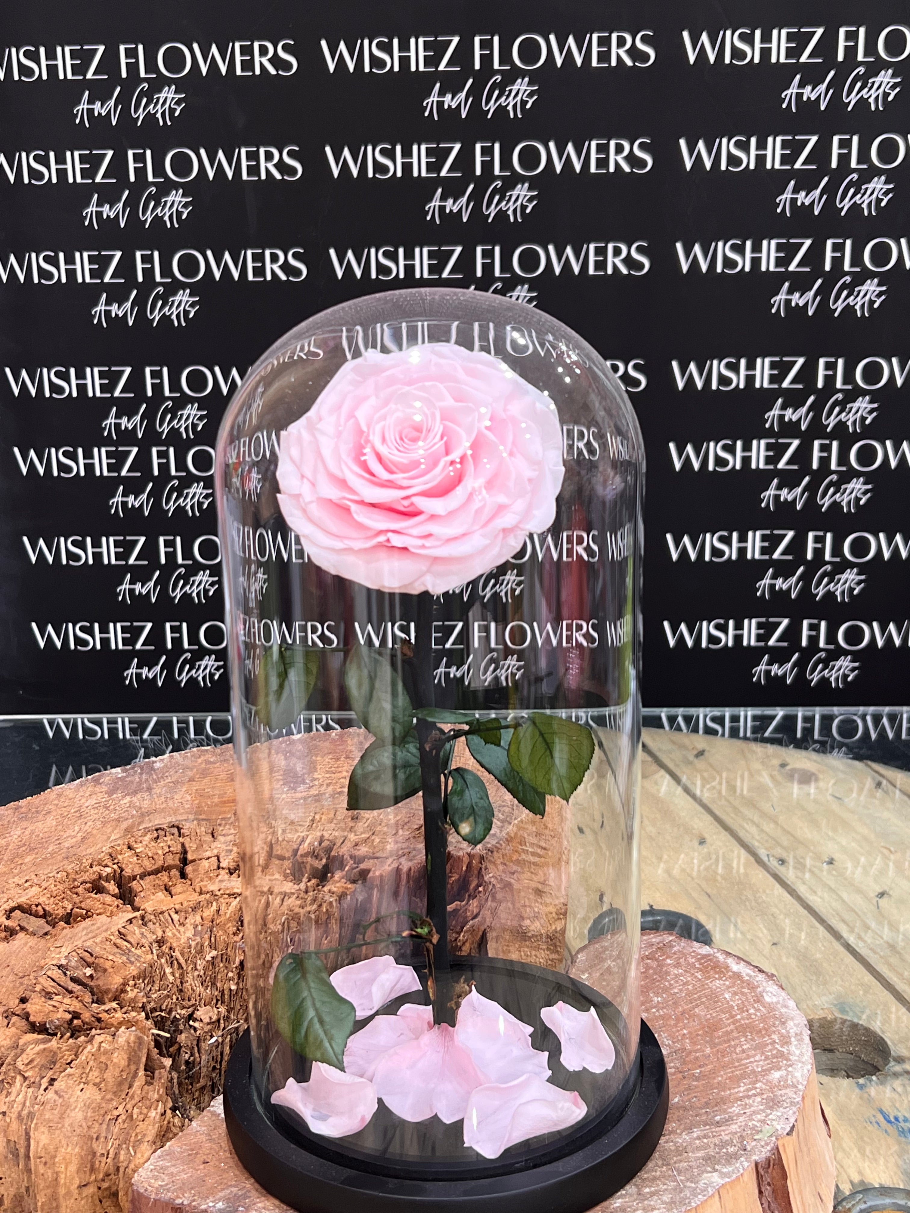 Large forever lasting rose