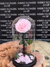 Load image into Gallery viewer, Large forever lasting rose
