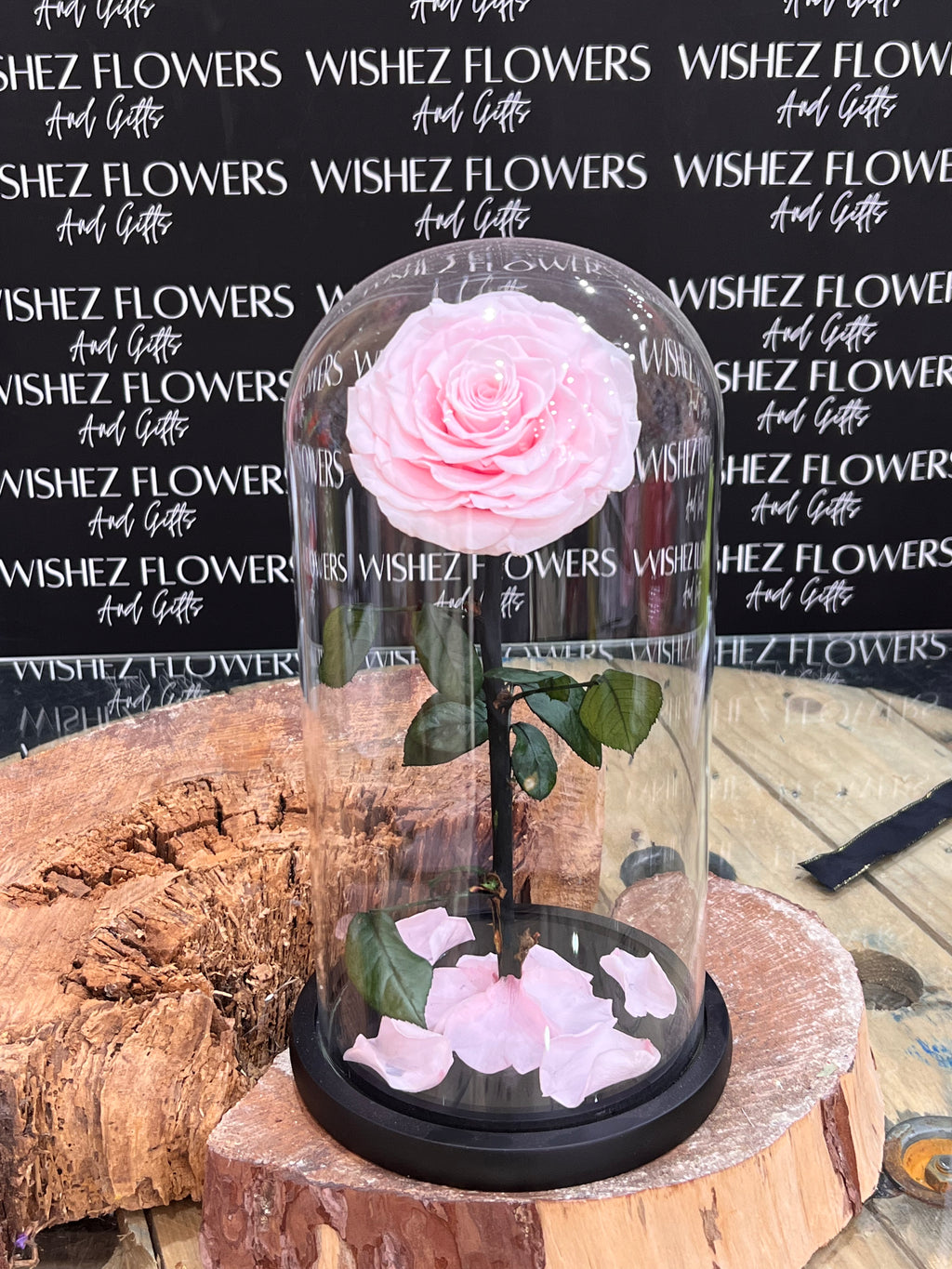 Large forever lasting rose