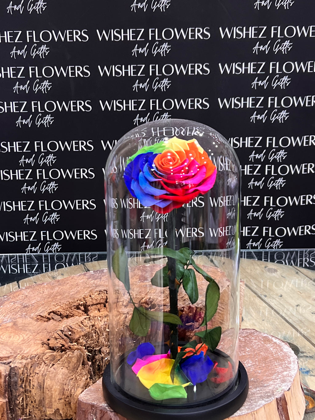 Large forever lasting rose