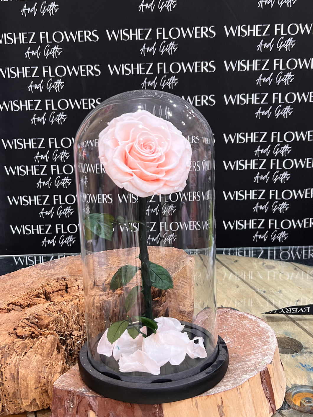 Large forever lasting rose