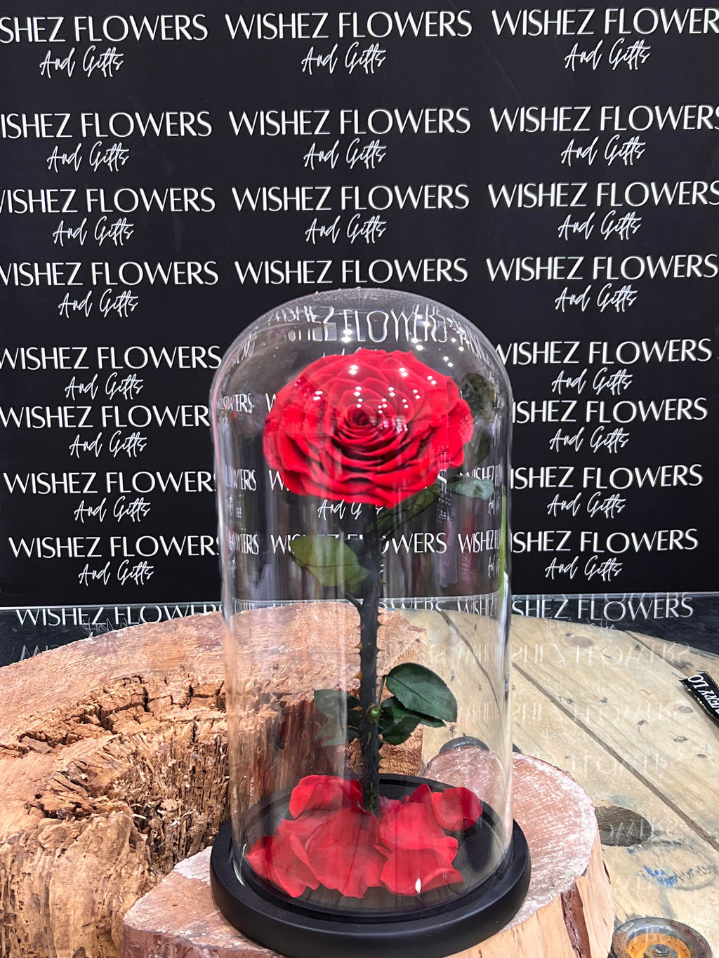 Large forever lasting rose
