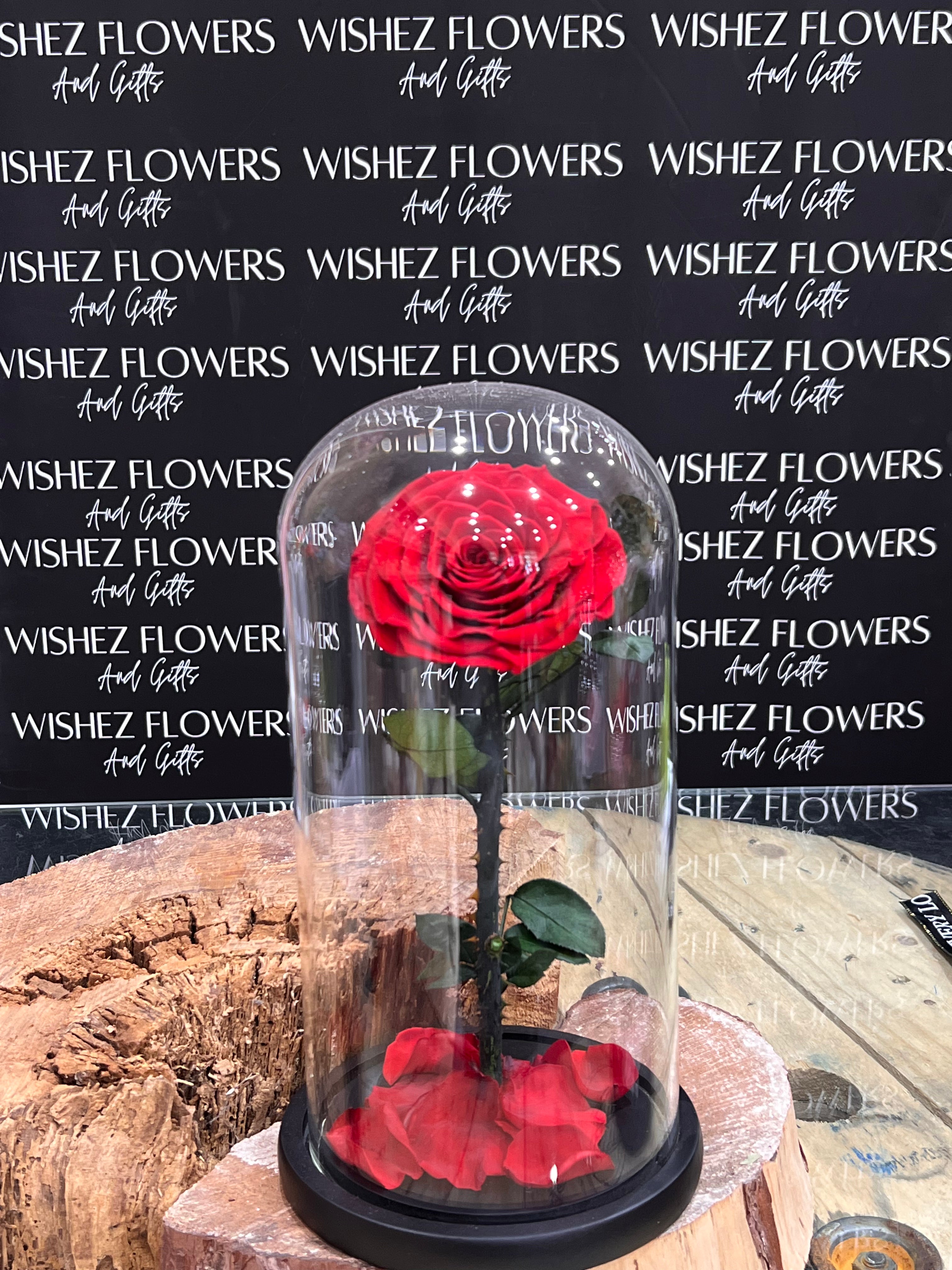 Large forever lasting rose