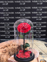 Load image into Gallery viewer, Large forever lasting rose
